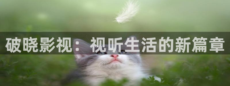 天狼在线观看免费：破晓影视：视听生活的新篇章