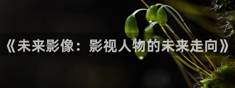天狼影院2008伦理片在线播放：《未来影像：影视人物的未来走向》