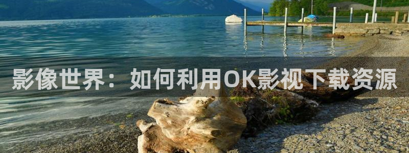 天狼影院色戒：影像世界：如何利用OK影视下载资源