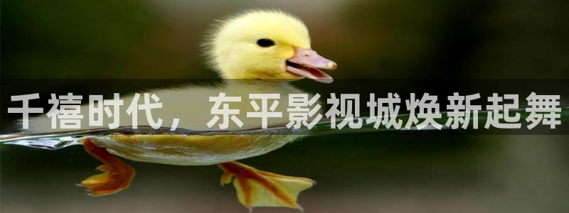 天狼电影网站：千禧时代，东平影视城焕新起舞