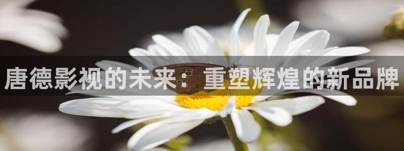 天狼电影院手机版在线观看：唐德影视的未来：重塑辉煌的新品牌